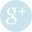 Google+